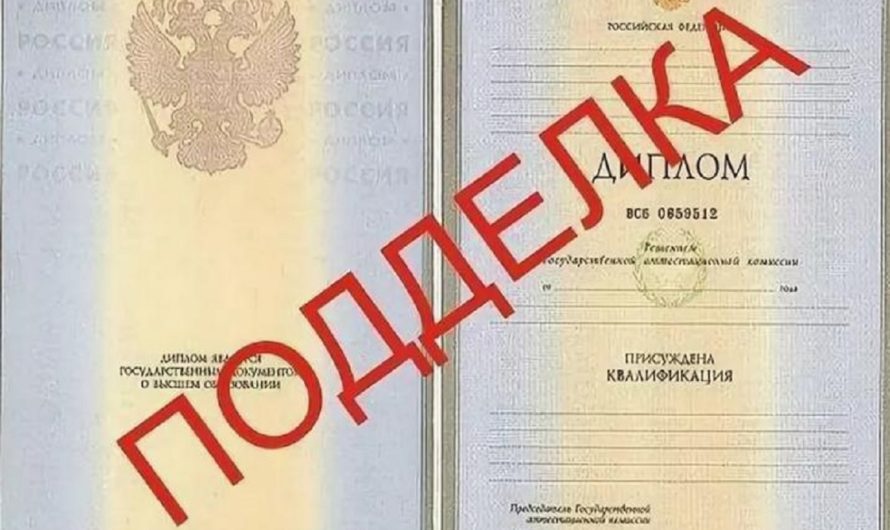 За поддельный диплом жительница Ясного получила 40 000 рублей штрафа