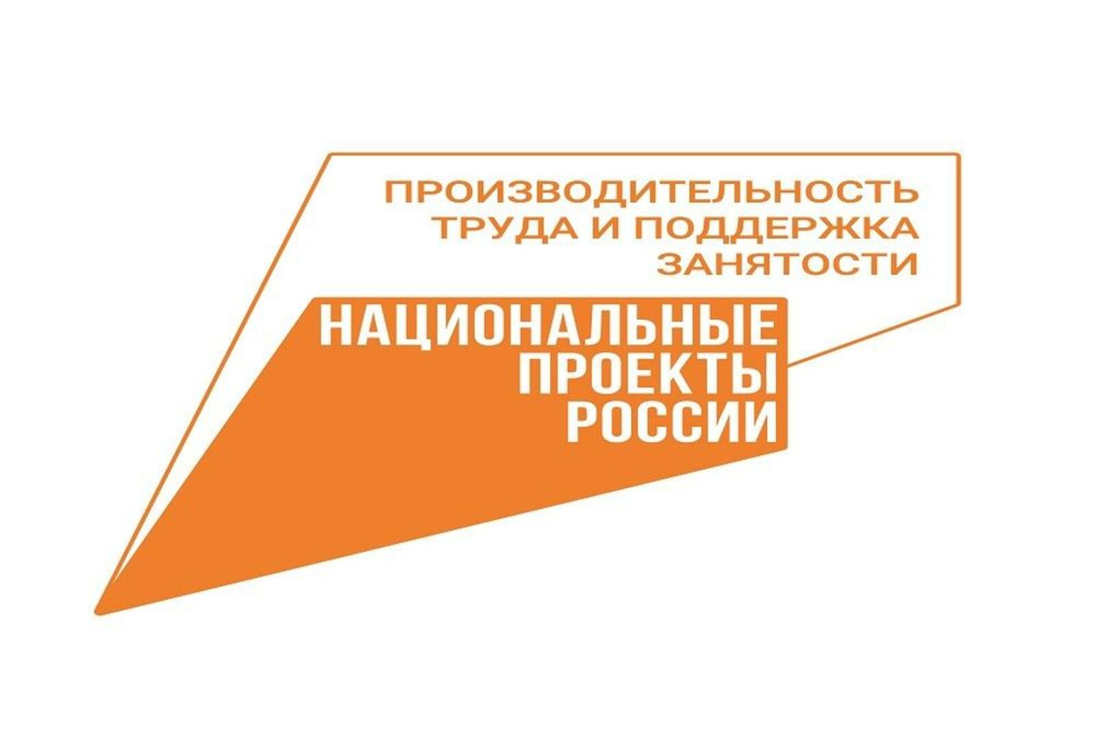 Производительность труда национальный проект россии