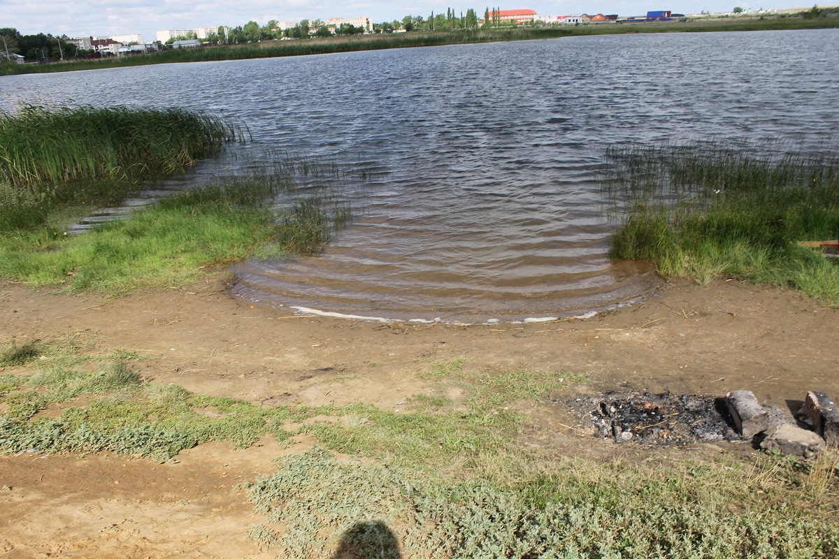 В Ясном могут благоустроить территорию городского пруда - Ясненский вестник