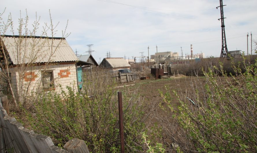 Ясненские садоводы решат, нужна ли им вода