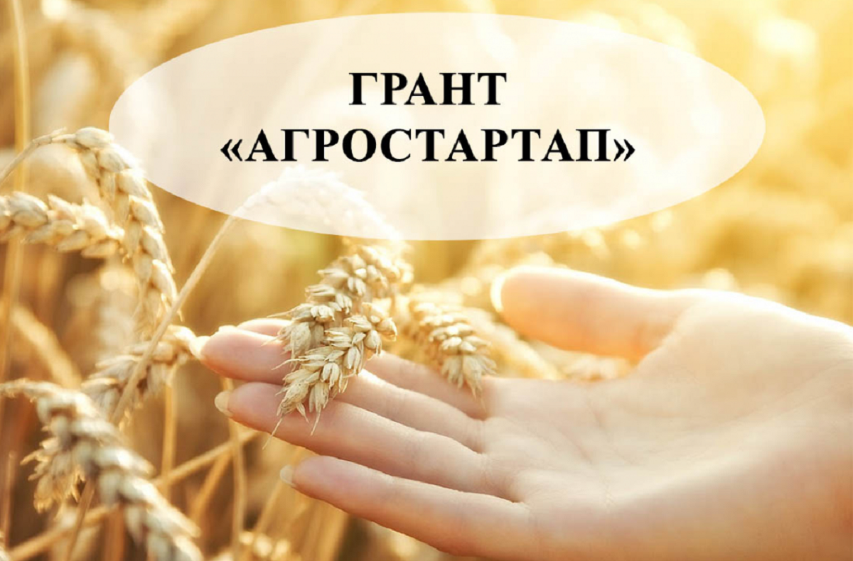 Грант на реализацию проектов агростартап