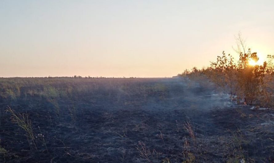 Сотрудники МЧС боролись с огнем в Соль-Илецком городском округе