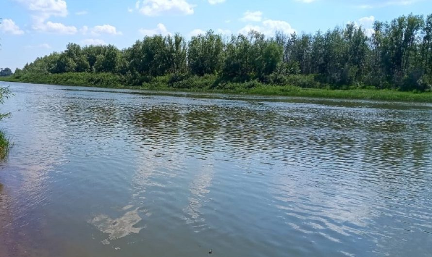 В Оренбуржье произошла очередная трагедия на воде