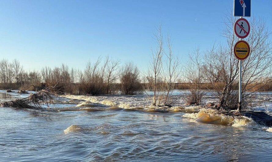 В Оренбуржье растет уровень рек Урал, Сакмара, Орь