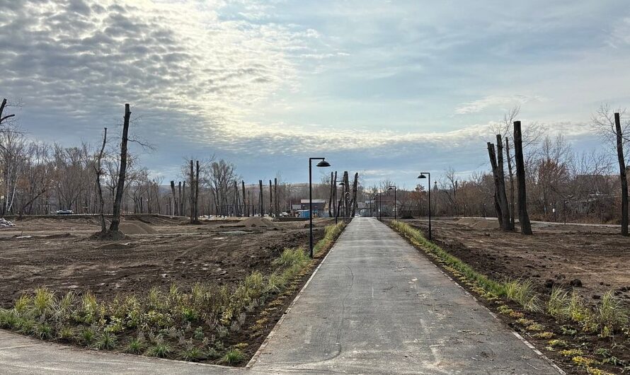 В Кувандыке продолжается благоустройство парка имени Федорова