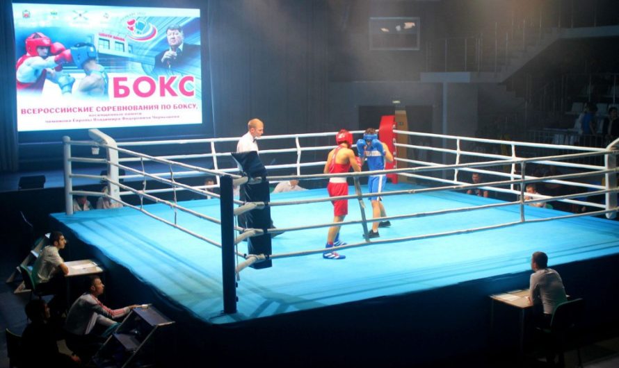 В Оренбуржье проходит юбилейный турнир по боксу памяти Владимира Чернышева