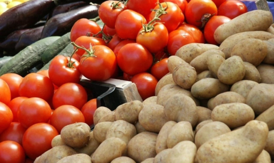 В Оренбуржье личные подсобные хозяйства могут получить субсидии за реализованные овощи и картофель