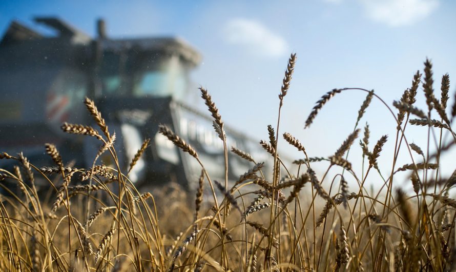 АПК: не пропустите сроки с заявками на господдержку