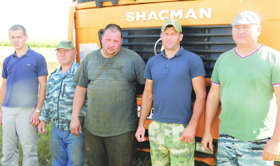 В СПК колхоз им.Кирова все силы брошены на заготовку кормов