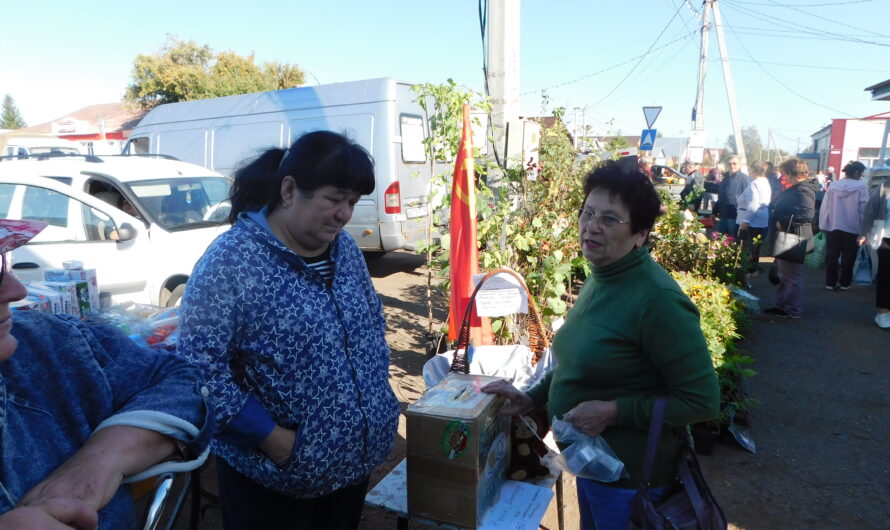 Технологии на службе волонтеров