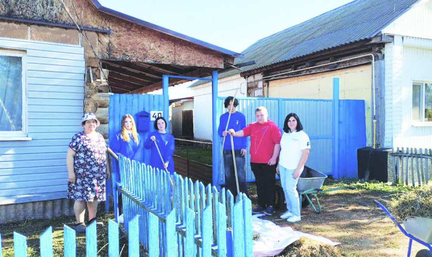 На все руки добровольцы