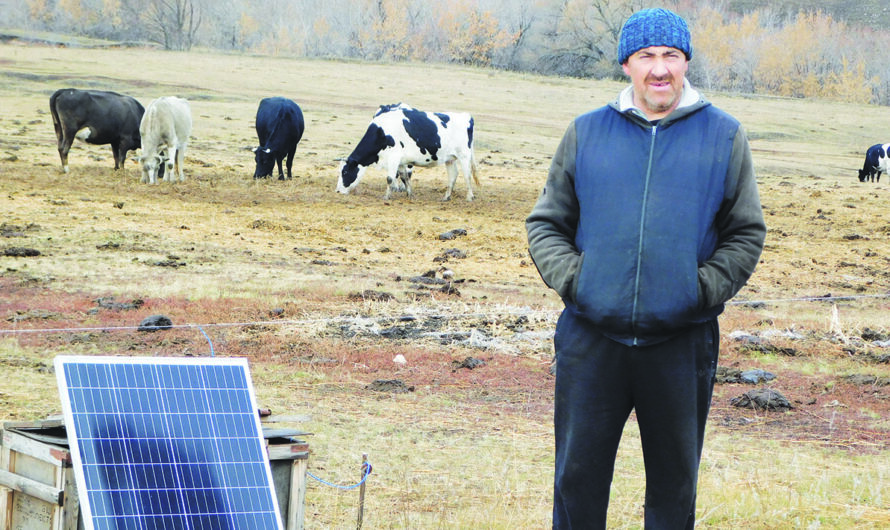 Гранты минсельхоза дают толчок в развитии фермерских хозяйств