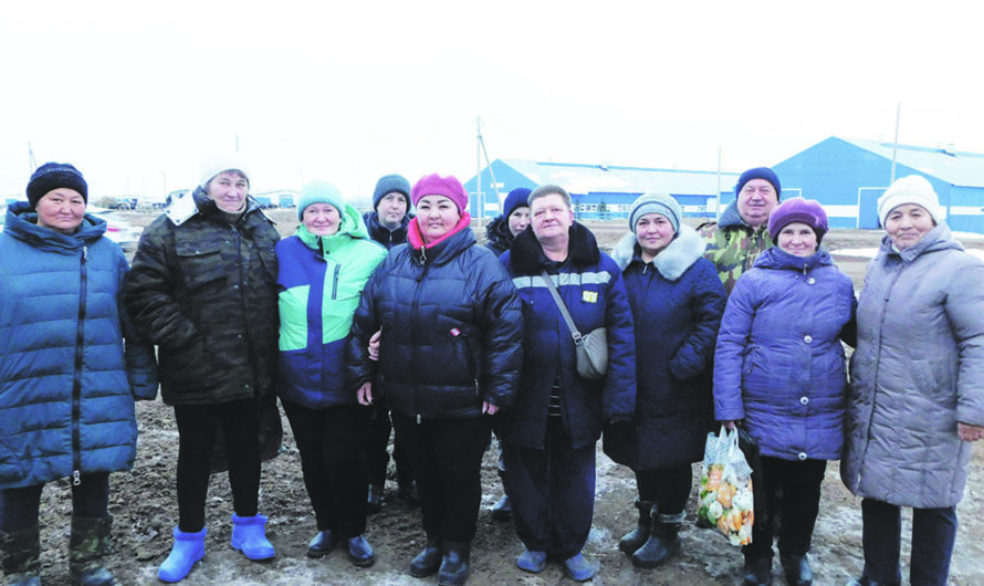 Операторы машинного доения работают без выходных