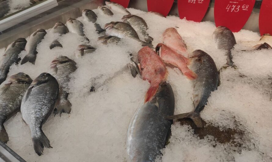 Оренбуржцам рекомендуют устраивать “рыбные дни” и рассказывают, как правильно выбирать рыбу