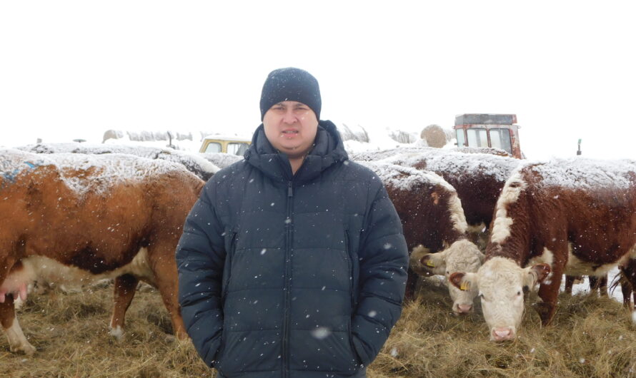 Воскресеновские фермеры осваивают гранты “Агростартапа”