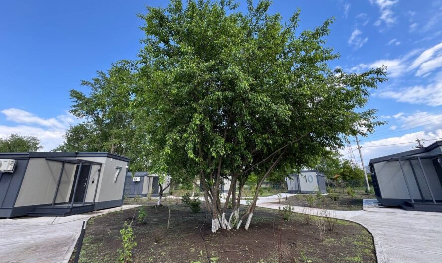 Оренбуржье вышло на новый уровень развития туризма