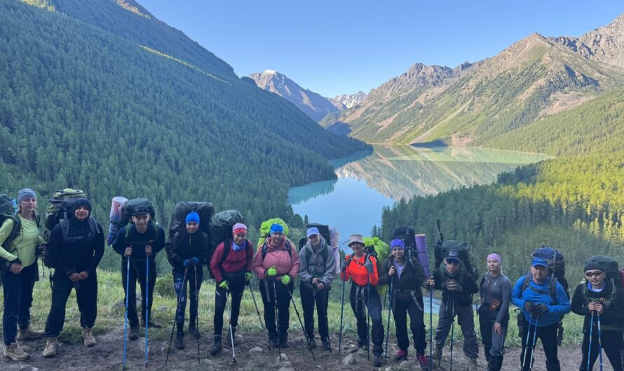 Туристы не выходят из дела