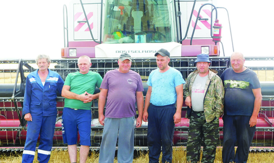 В Октябрьском районе стартовала уборка озимых