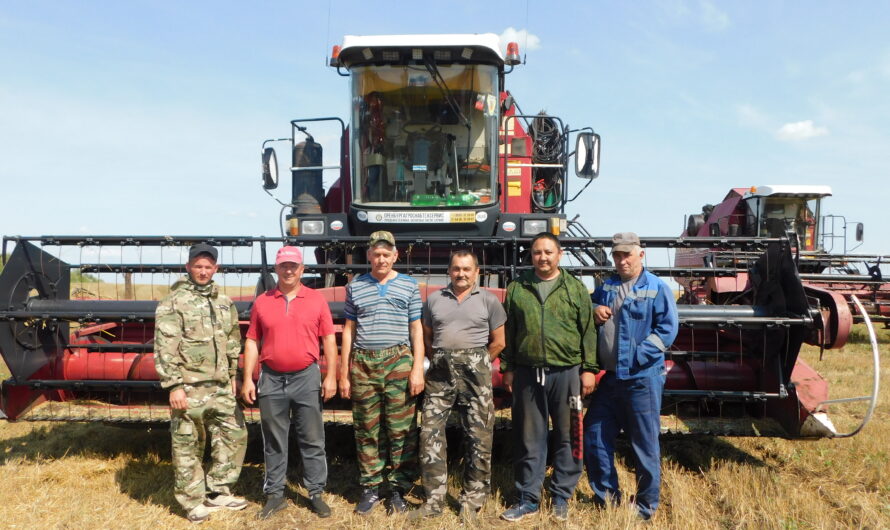 В ООО “ЮМакс” идет уборка ячменя
