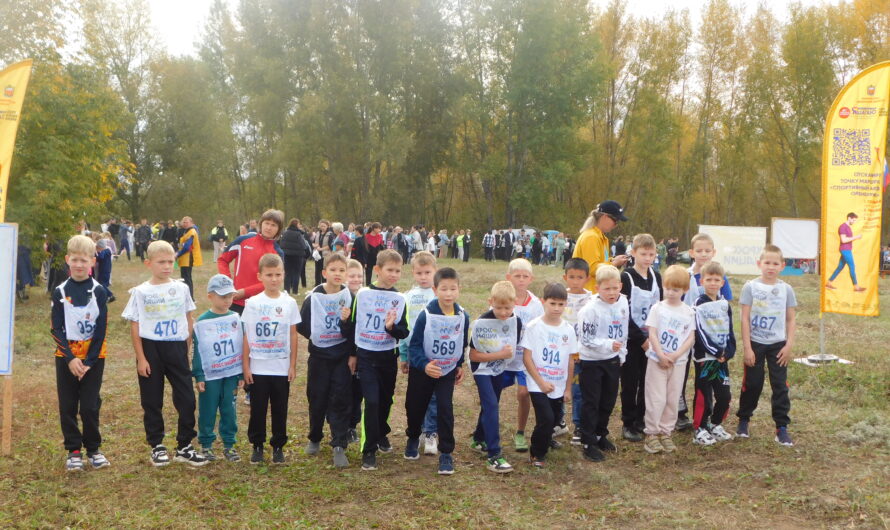 Широкая поддержка отличной идеи