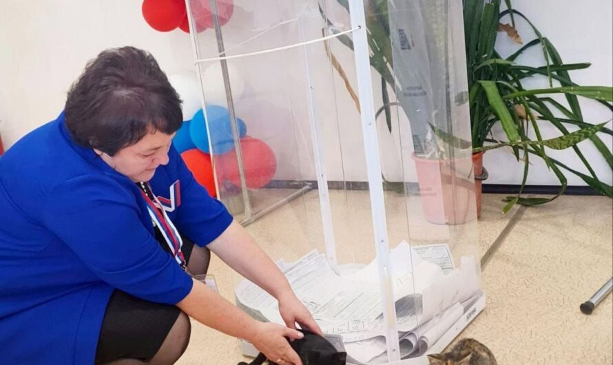 В селе Нижний Гумбет на участок № 917 забрели пушистые “избиратели”