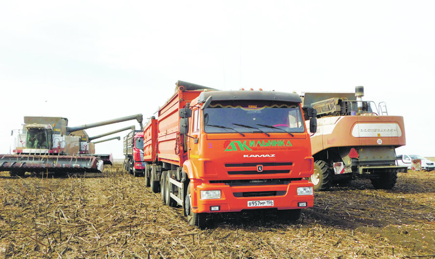 В ОАО АПК “Ильинка” на повестке дня подсолнечник