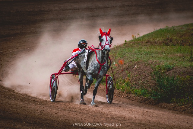 Громкое завершение карьеры “Получки”