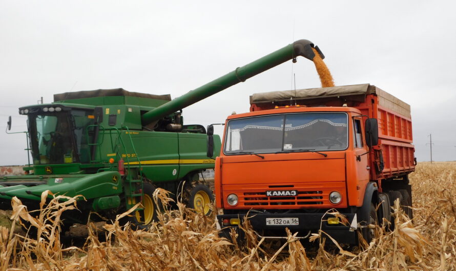 СПК колхоз им.Кирова завершает уборочную
