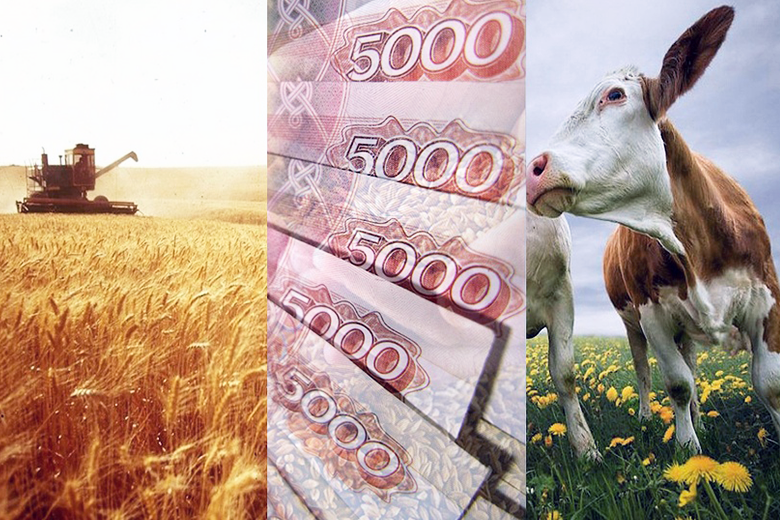 У аграриев Оренбуржья есть всего 10 дней для подачи документов на получение субсидий