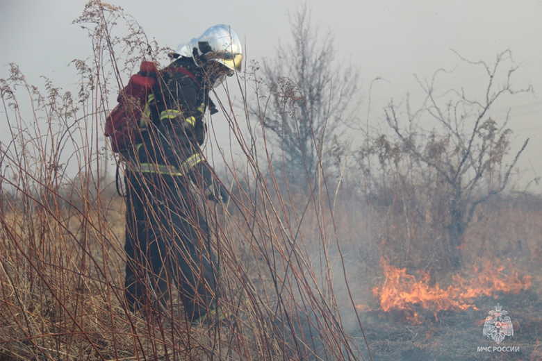 В Оренбургской области 29 марта объявлен пожароопасный сезон в лесах