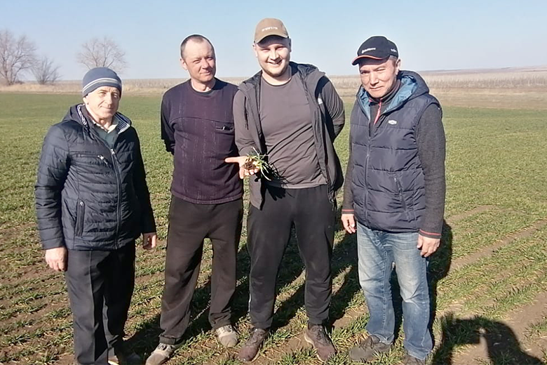 Курманаевские аграрии завершают мониторинг перезимовки озимых, готовятся к севу яровых