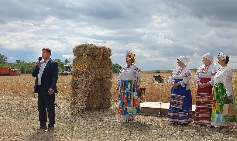 Картинка снопы на поле