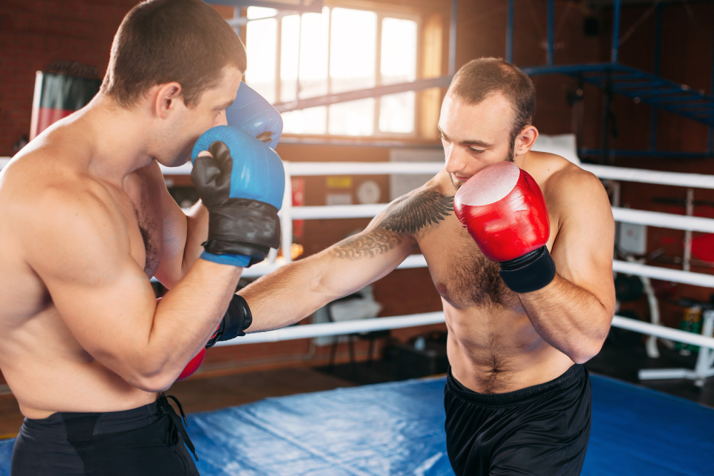 Бокс или MMA: что выбрать новичку под свою цель в 2026