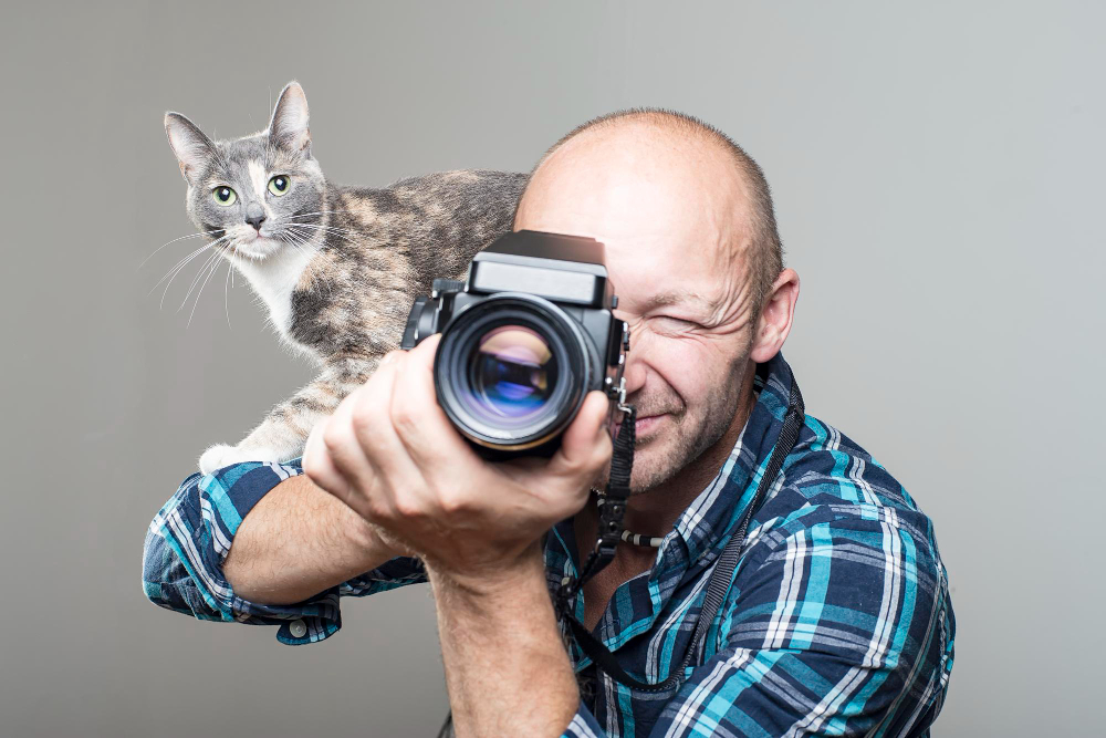 Как начать зарабатывать на фотосъёмке питомцев: старт без большого бюджета