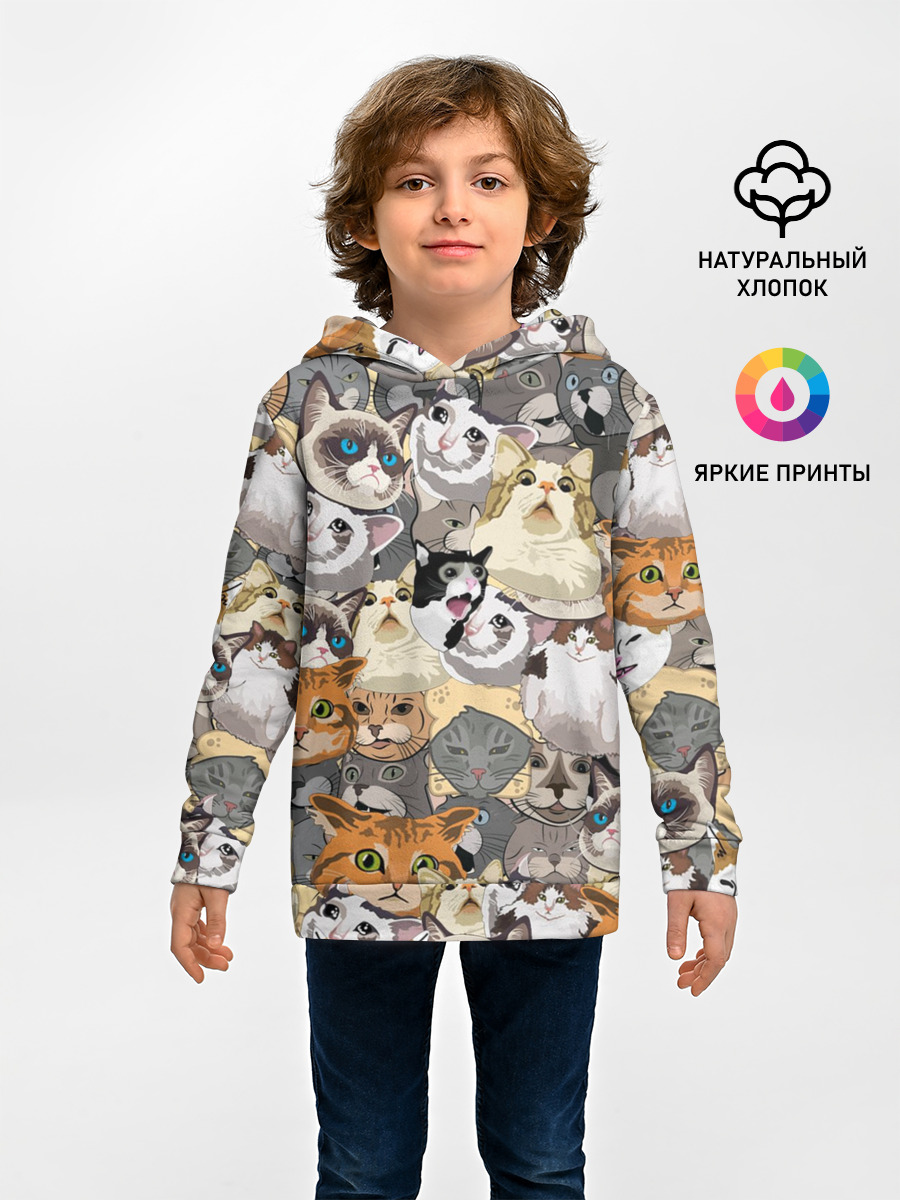 ALL CATS MEMES