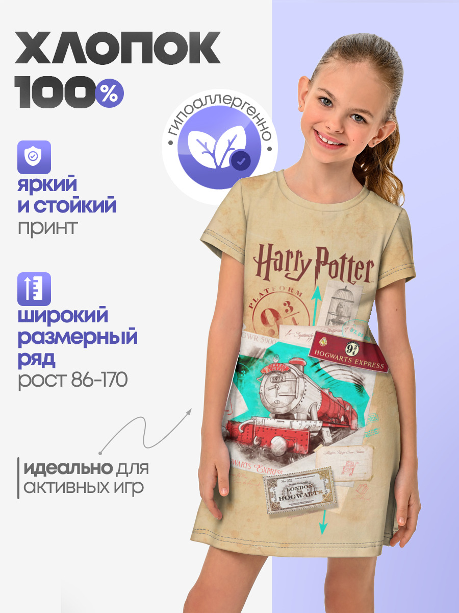 Harry Potter Hogwarts Express