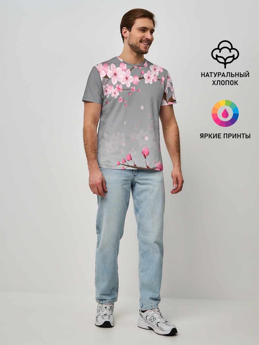 САКУРА | SAKURA