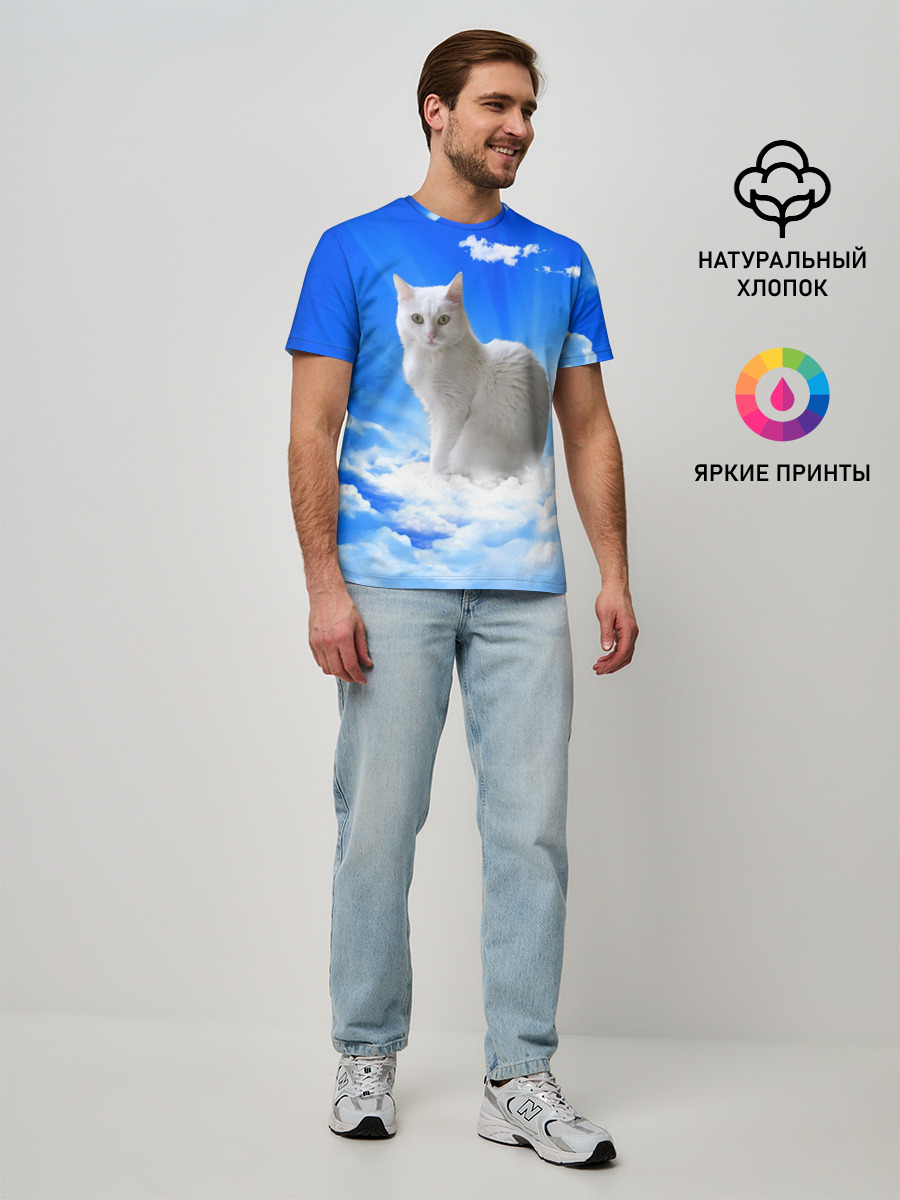 Кот в облаках