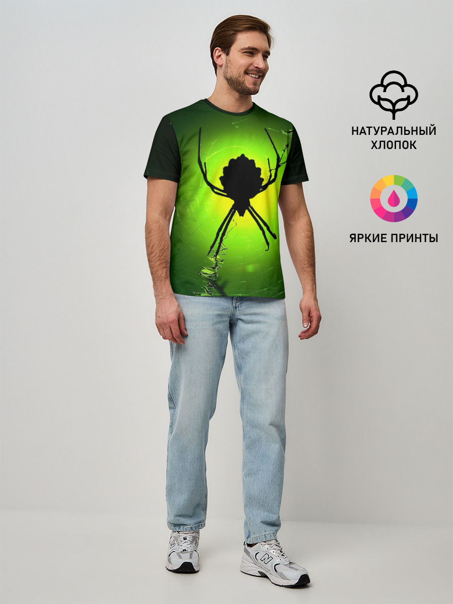 Паук | Spider
