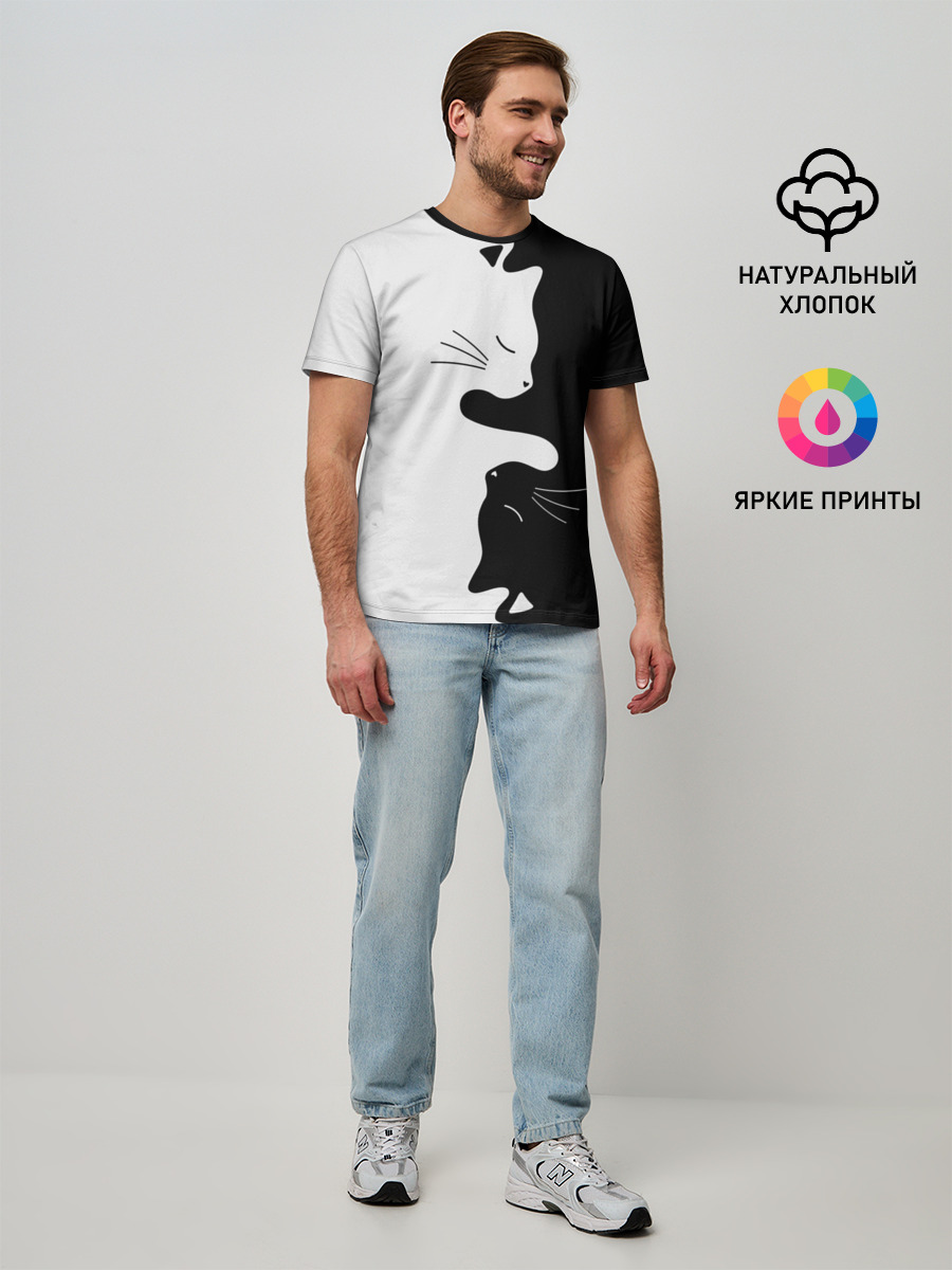 Коты инь янь