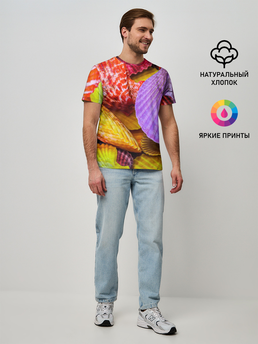 Разноцветные ракушки multicolored seashells