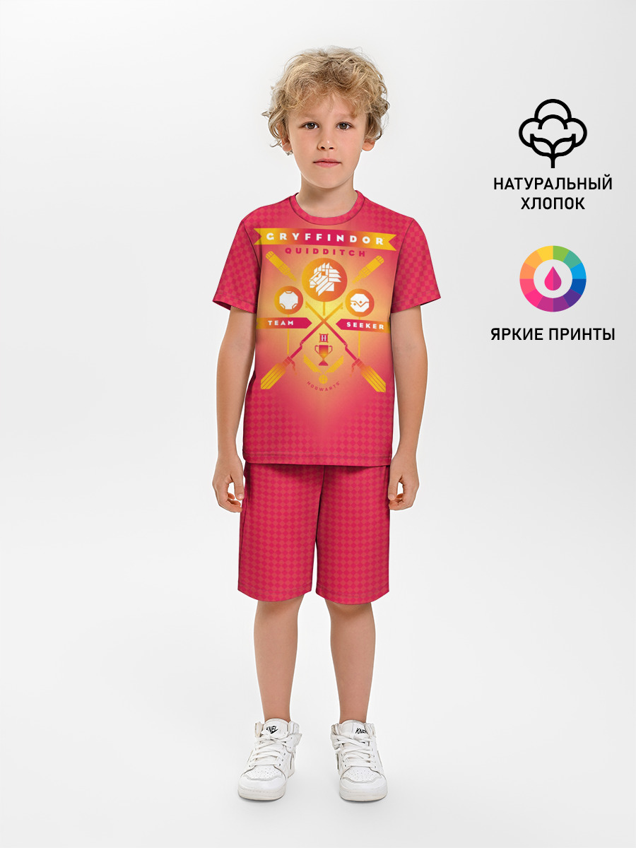 Gryffindor Quidditch