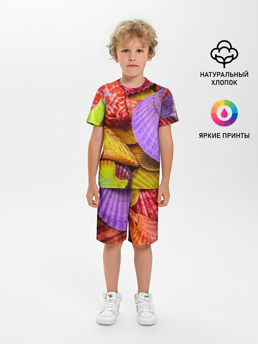Разноцветные ракушки multicolored seashells