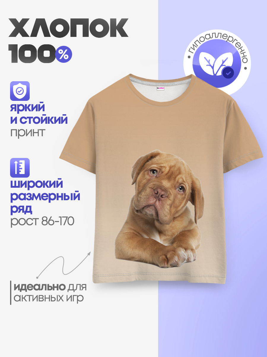 питбуль
