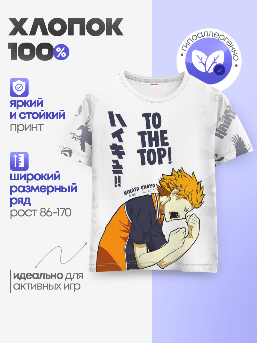 TO THE TOP! Hinata Shoyo