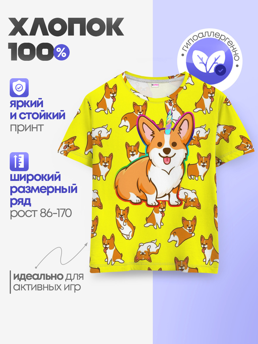 Corgi