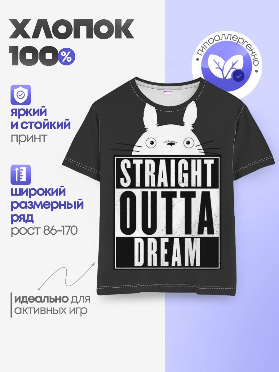 Тоторо Straight outta dream