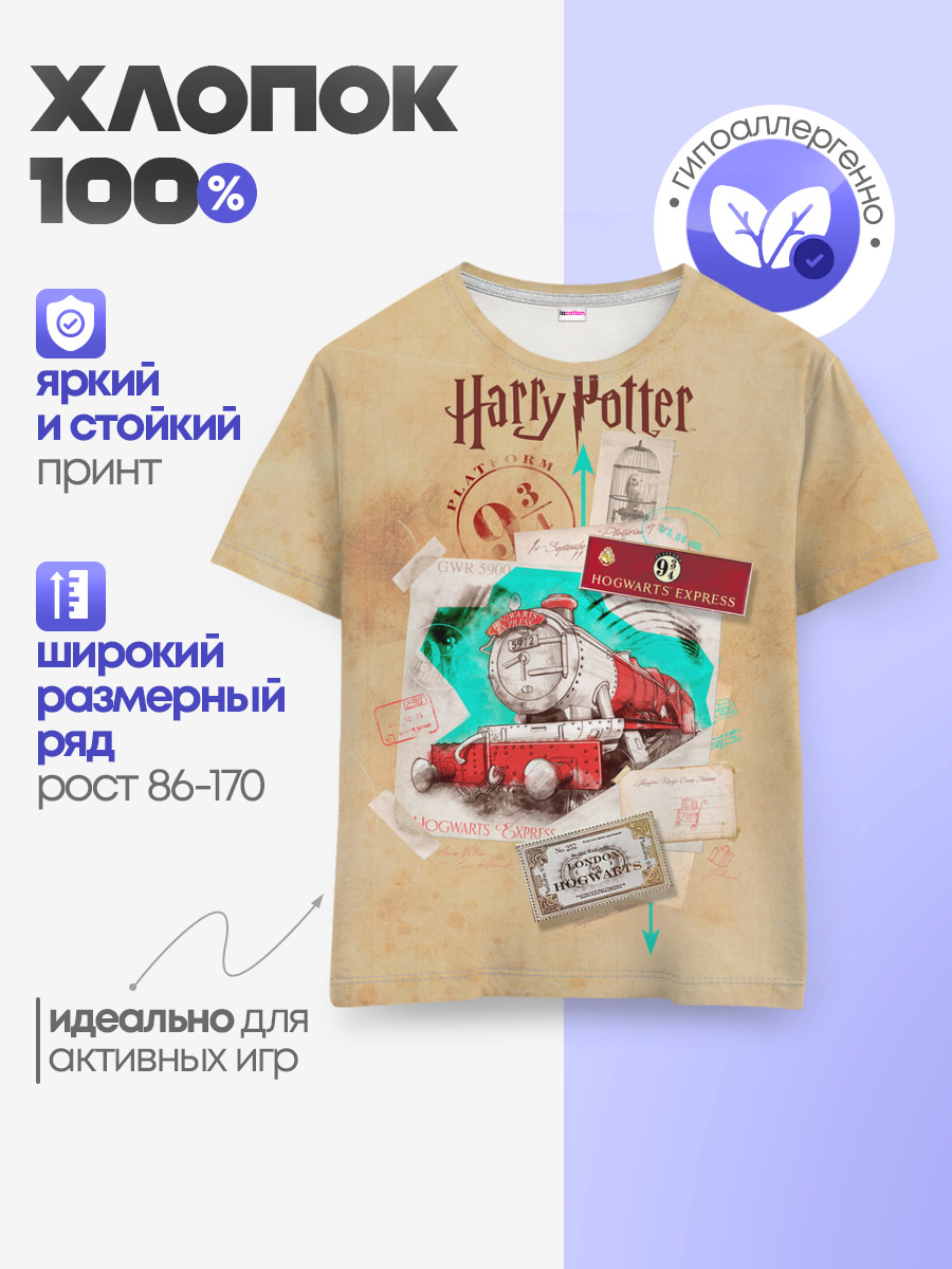 Harry Potter Hogwarts Express