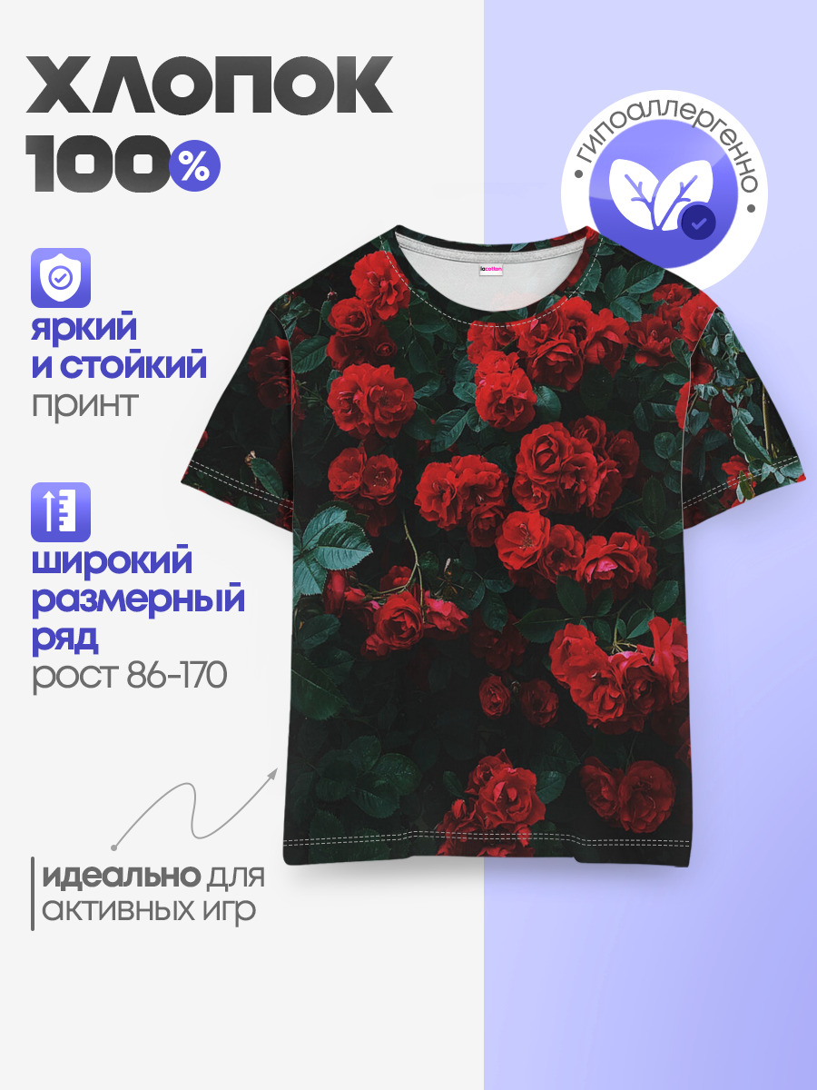 Розы