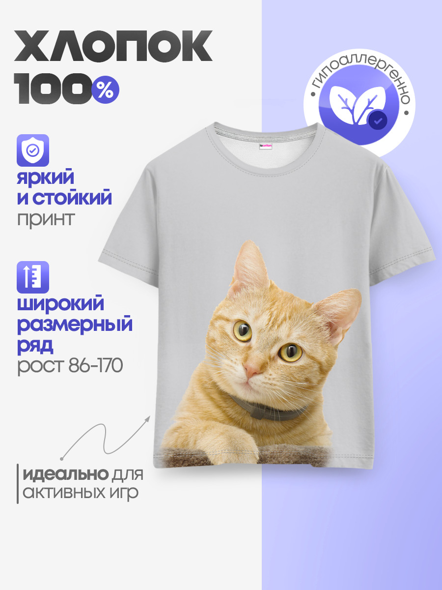 Рыжий котик